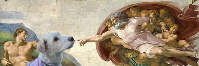 UnaPollypocket💫 banner