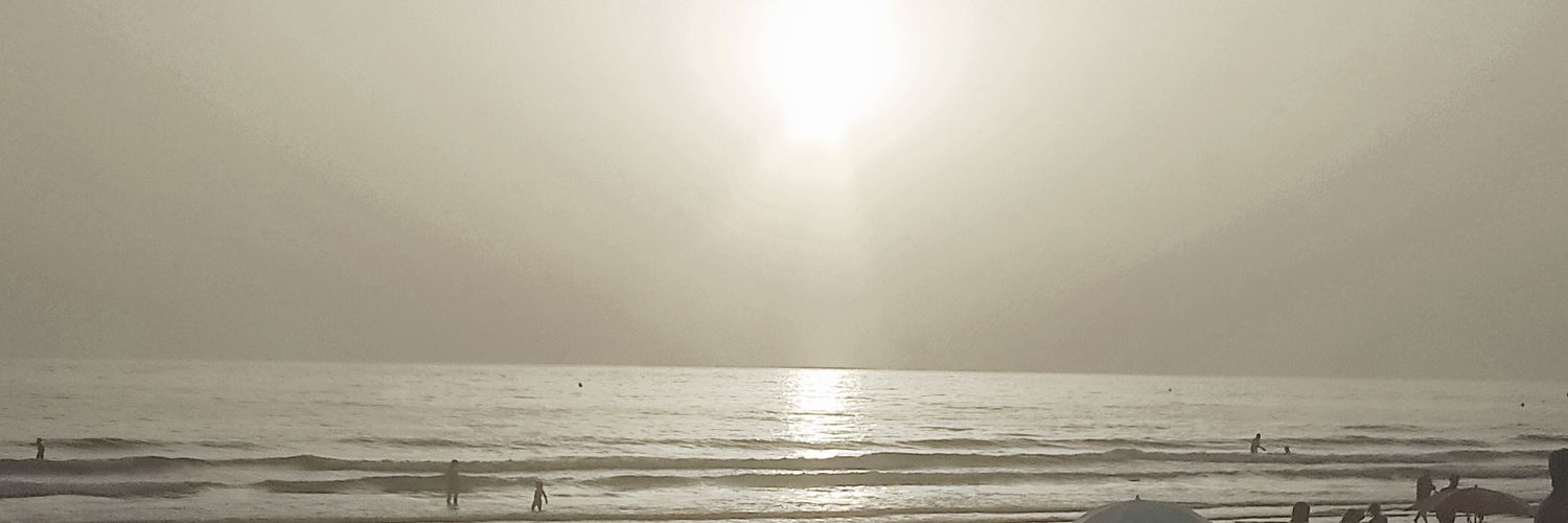 Frôdô Bäggins banner