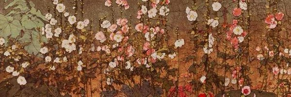 saecoyle Profile Banner