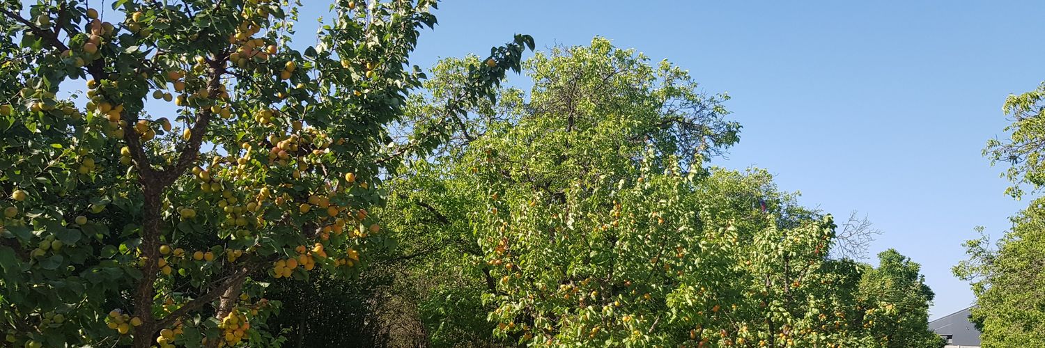 DenisGwen's profile banner image
