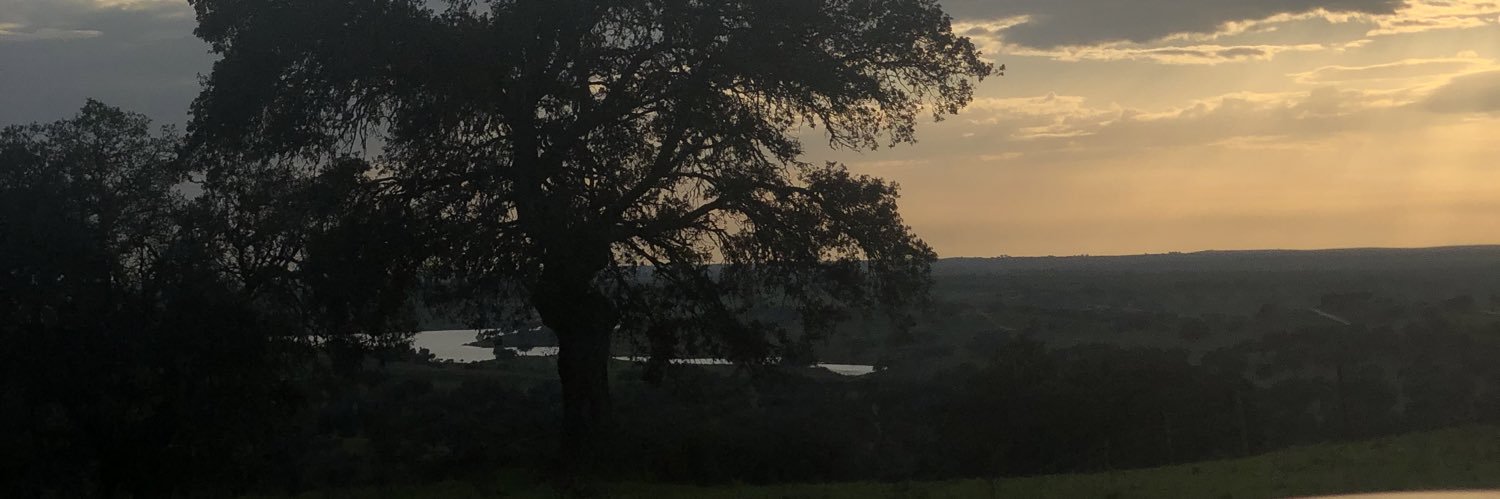 alvarop003's profile banner image