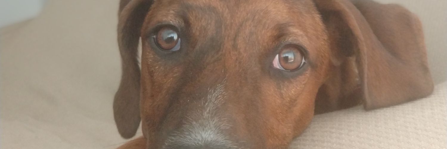 joan696's profile banner image