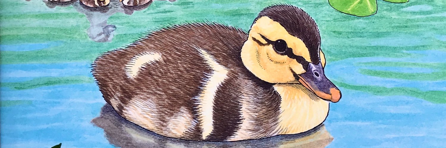 かんちく たかこ banner