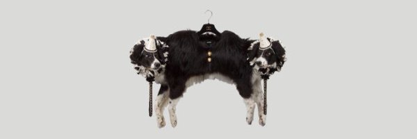 cuntyemo Profile Banner