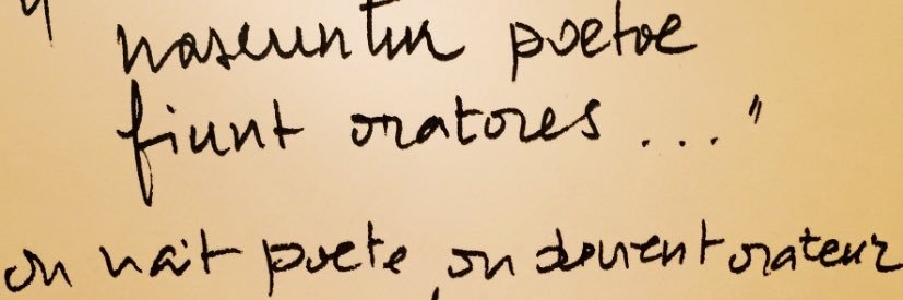 Anna-Maria Sollacaro banner