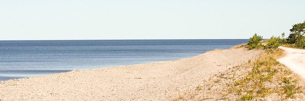 daniwaldenstrom Profile Banner