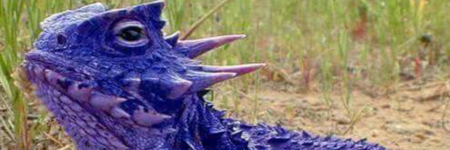 camjones163's profile banner image