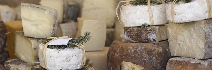 OnCapeFare's profile banner image