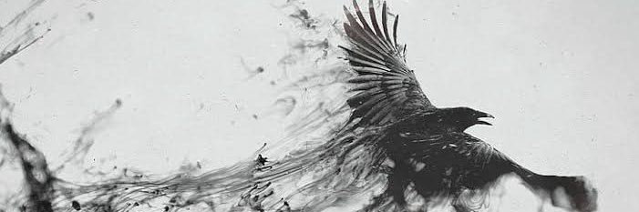 sabriyekoroglu's profile banner image