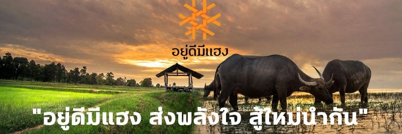 อยู่ดีมีแฮง@ThaiPBS banner