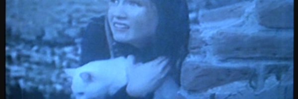 krampuc Profile Banner