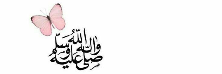 basmalamahmmoud's profile banner image