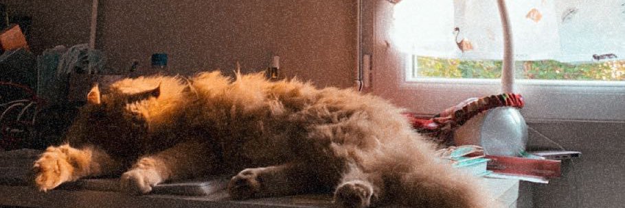 Loan🧚🏻‍♀️ banner