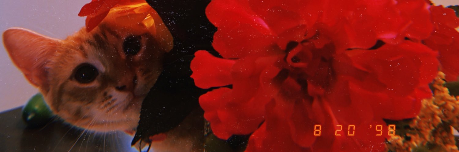 __abello's profile banner image