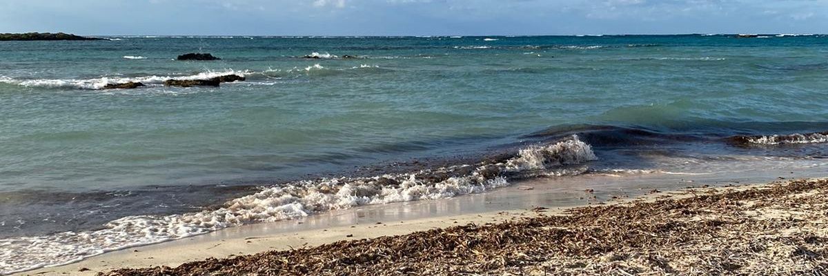 MathieuLTiimal's profile banner image