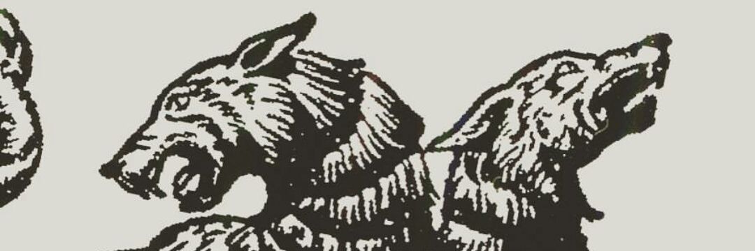 zmil666's profile banner image