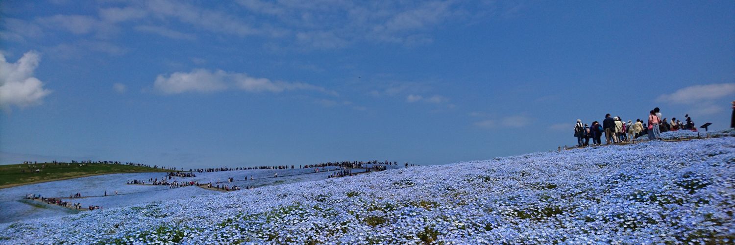 bluesunsetdark's profile banner image