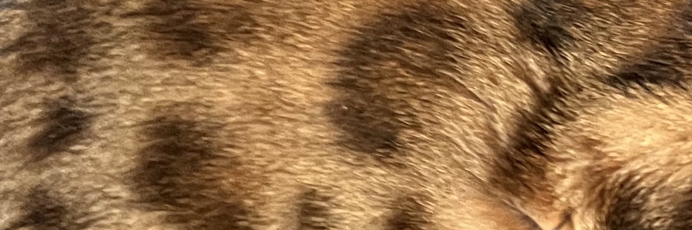 KlassyMcKlass's profile banner image
