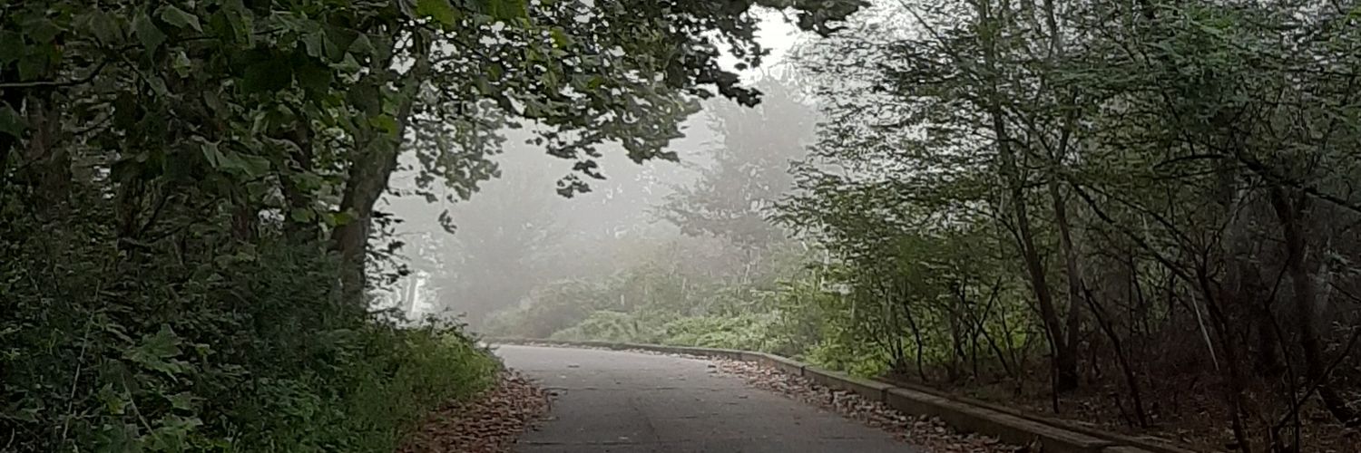 artlynjae's profile banner image