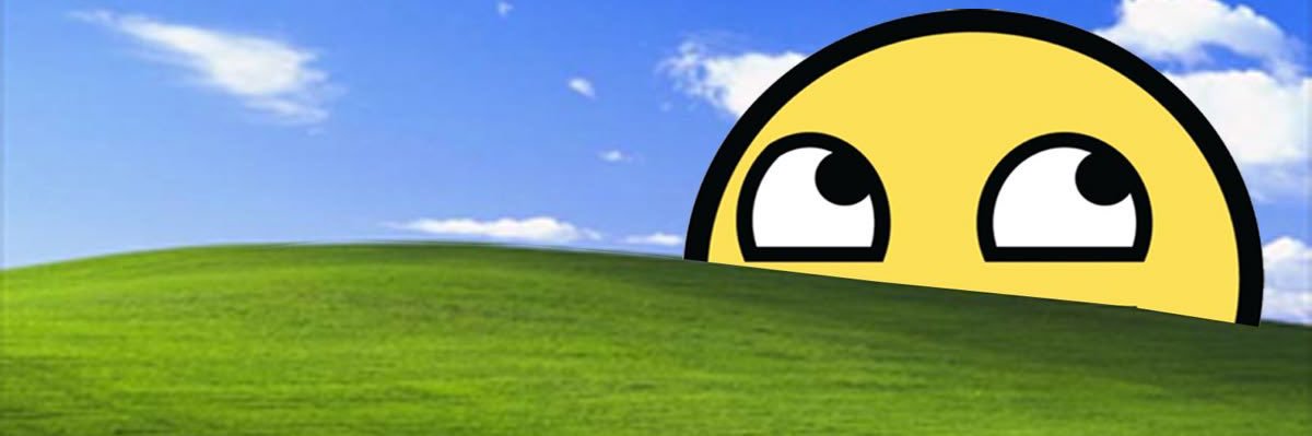 vik's banner