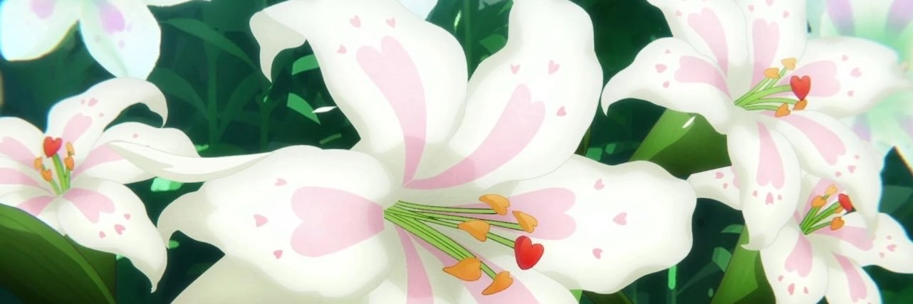 cureluma's profile banner image