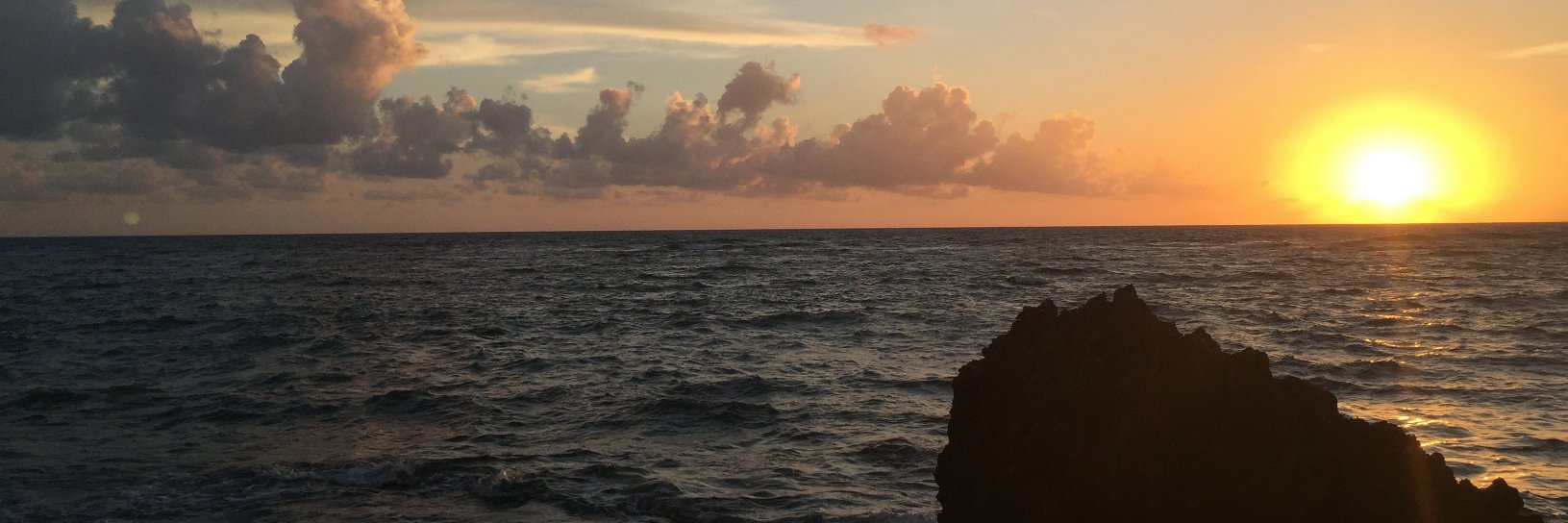monterobison's profile banner image