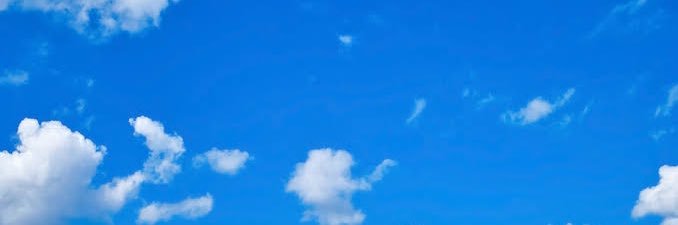 모모 banner