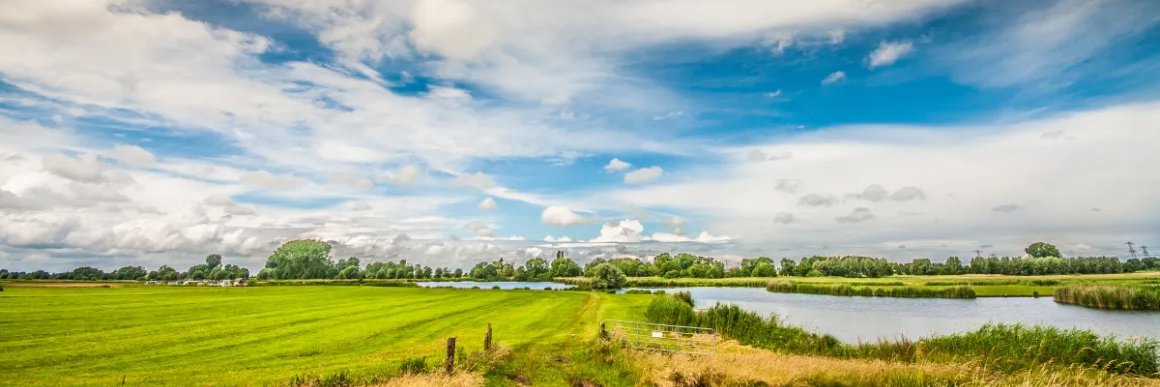 PeterB | genieten.eth banner