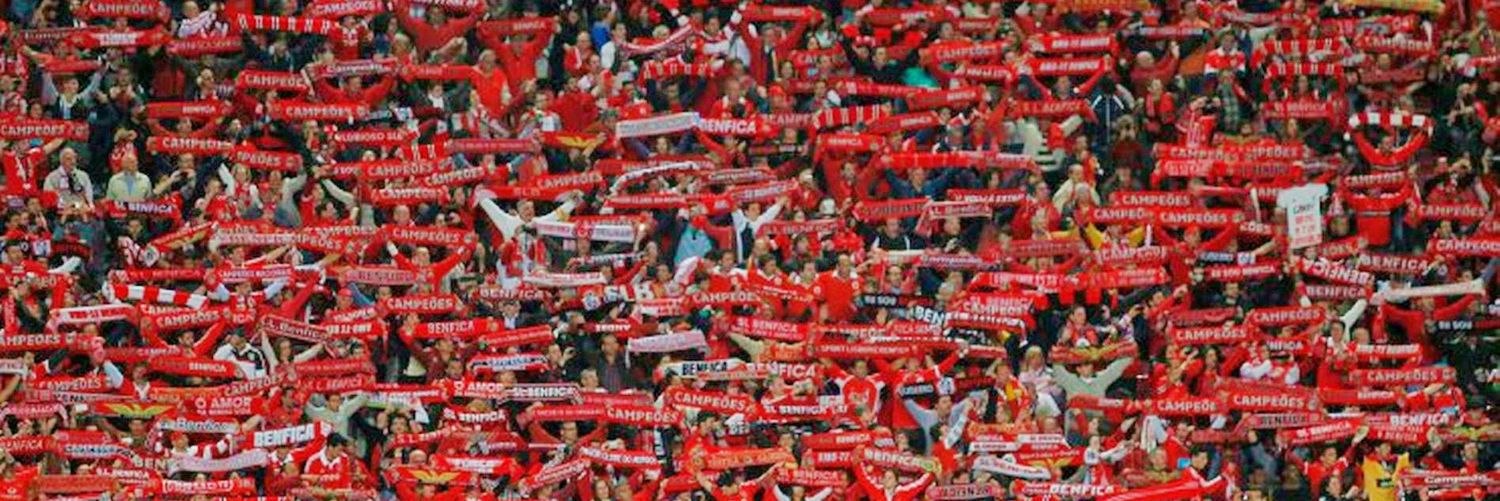 Beatrizermitao7's profile banner image