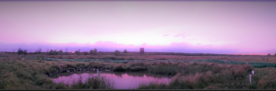 Dr Alex Callen banner