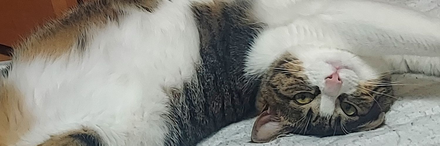 miporing7757's profile banner image