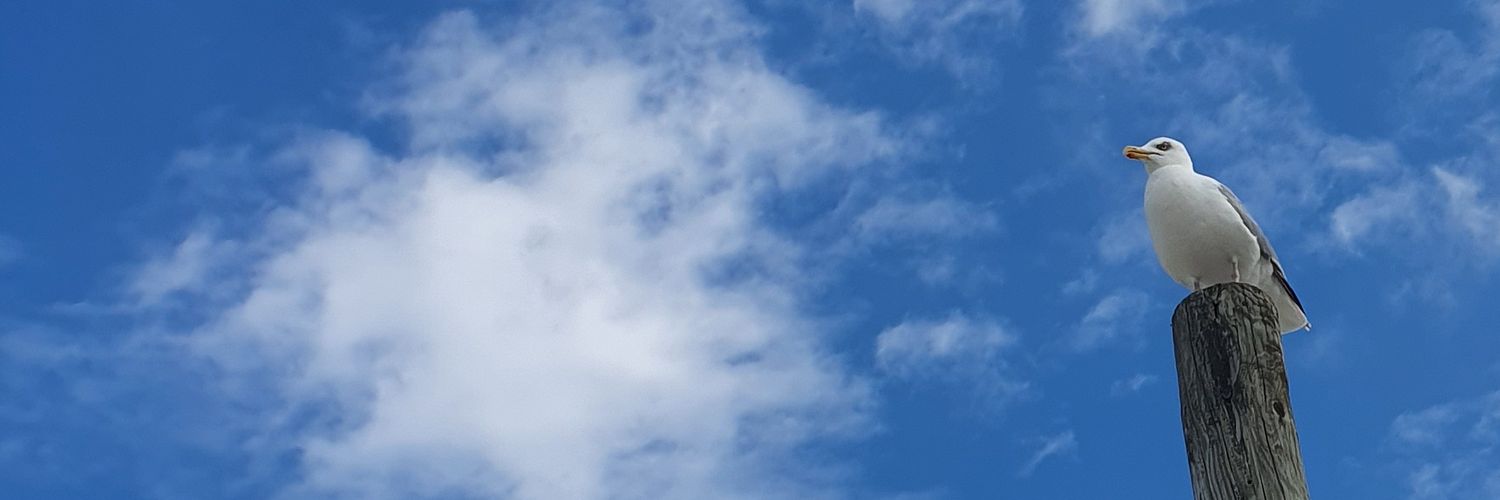 justamindpalace's profile banner image