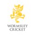 Wormsley Cricket (@wormsleycricket) Twitter profile photo