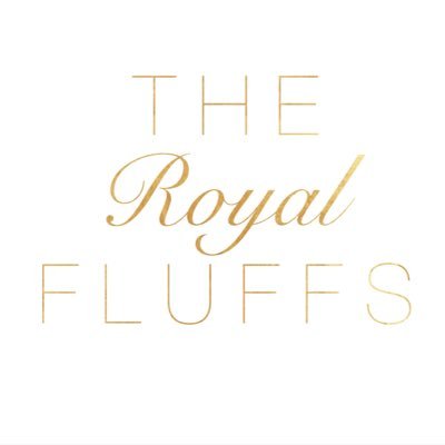♔ The Royal Family of tiny rescues 🐶 ♔ 💞 rescue+adoption advocates 💌theroyalfluffs@gmail.com ♥️ #doginfluencer ✨ Our IG @theroyalfluffs