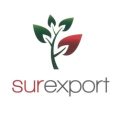 Surexport Profile Picture