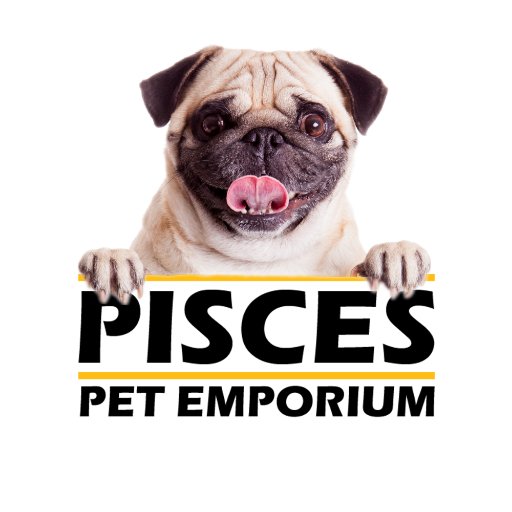 Official Twitter of Pisces Pet Emporium. Follow us for cute critters, exotic animals, giveaways, and amazing products! Serving Calgary since 1975.