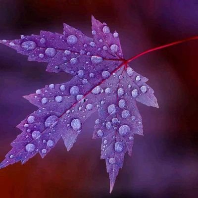 AliHazr86034424's profile picture. I am also Happy.