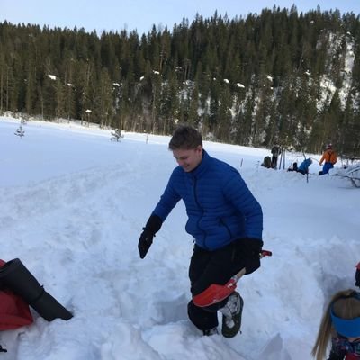 AleksHalvors3n's profile picture. Liverpool og Fugla❤️💛