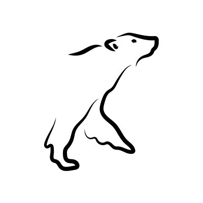 @arcticfocus