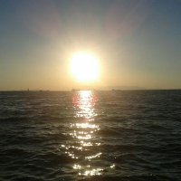 Haberci (@xyztwv) 's Twitter Profile