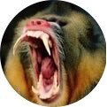 urba (@urbastaga) 's Twitter Profile Photo urba (@urbastaga) 's Twitter Profile Photo