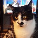 Julie downing - @Juliedo89013870 - Twitter