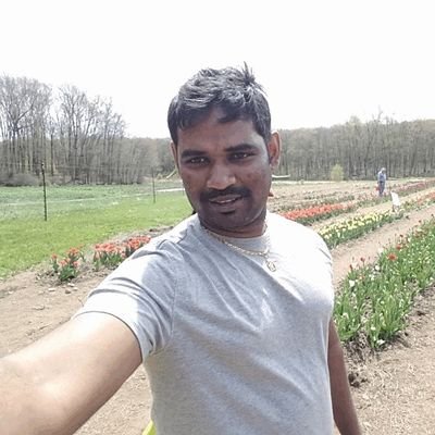 aremesh's profile picture. 