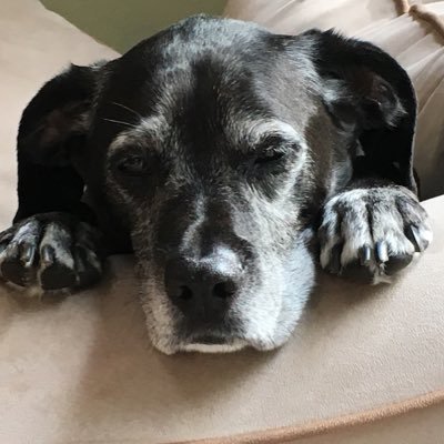 Roz Profile