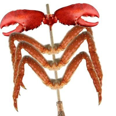 faux_broom's profile picture. I'm a broom of doom that can't cast fireball, but can roast better than any wizard.