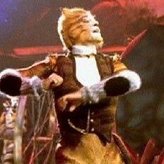 I'm the cat of the railway. My children are Mungojerrie and Rumpleteazer. Tugger I will always love you.. #Cats_Tlk