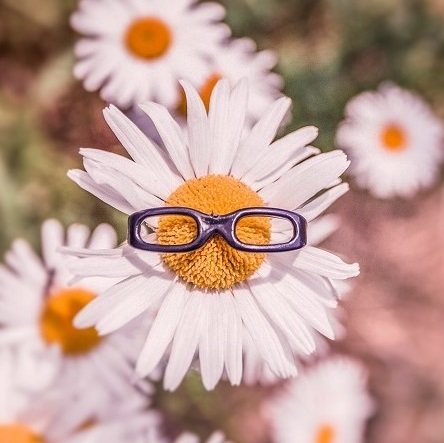 Discover Passionately! Exploring human behavior in a scientific, applicable and inspiring way. One article/Month