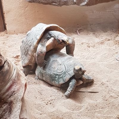 McbethScott's profile picture. 