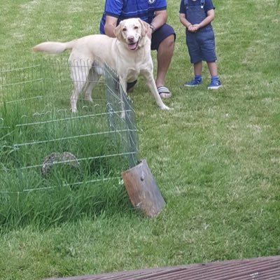 sanjkj's profile picture. 