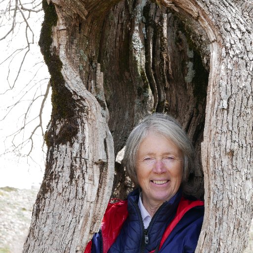 Jill Butler 🌳💚🧩 Profile